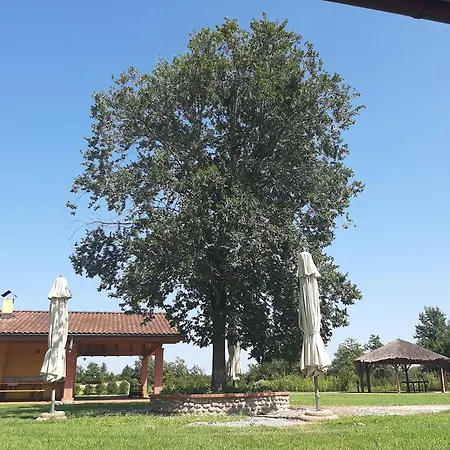 Corte All'olmo Farm stay