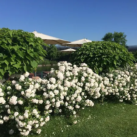 Corte All'olmo Agroturismo Verona